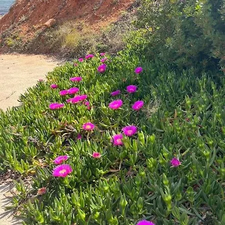 Casa Del Sol - Costa Blanca *